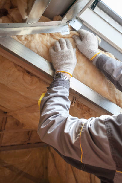 Best Specialized Insulation Services in Fort Clark Springs, TX