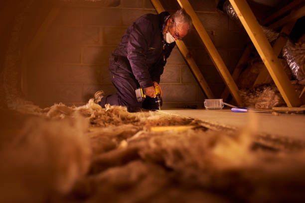 Best Cellulose Insulation in Fort Clark Springs, TX