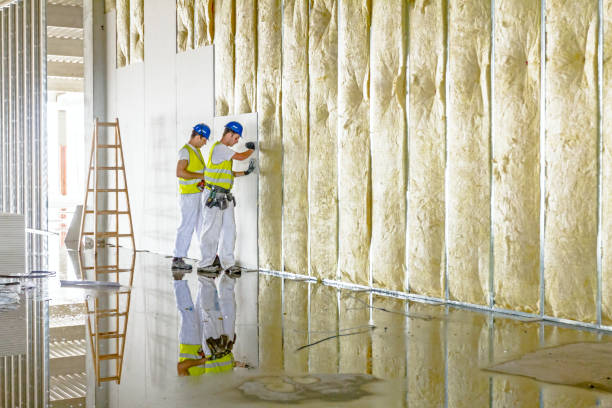 Types of Insulation We Offer in Fort Clark Springs, TX